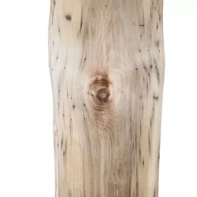 Tasmanian Blackheart Spalted Sassafras Craft Woodworking Slab Timber Board Wood