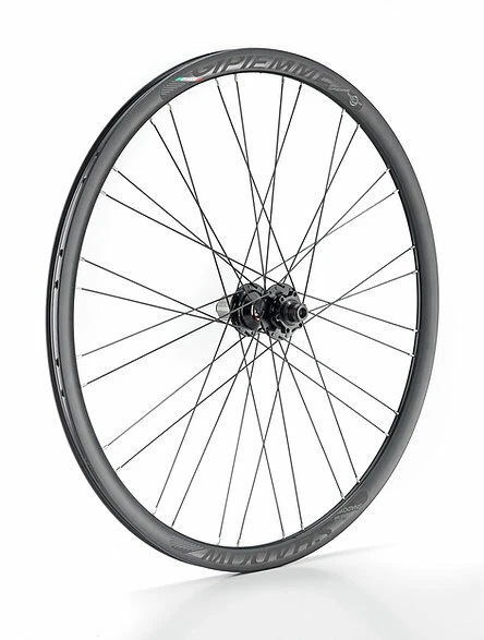 Paire de roues fixes Gipiemme 30mm Black