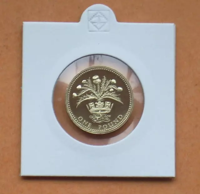 1989 Proof Scottish Thistle One Pound £1 Coin From A Royal Mint Proof Set.
