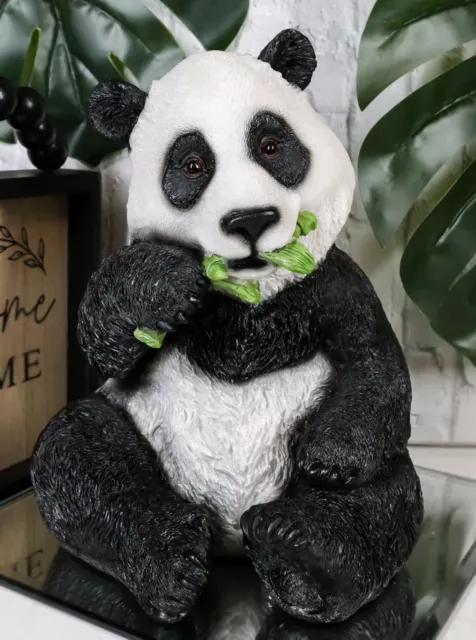 Realistic Lifelike Adorable China Giant Panda Bear Eating Bamboo Statue 8.25"H