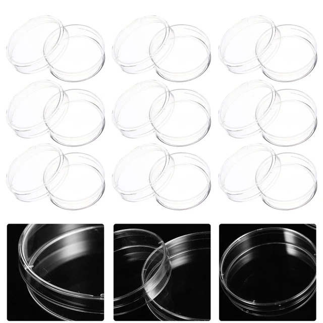 Gadgets Kids Culture Plate Child Agar Plates Grid