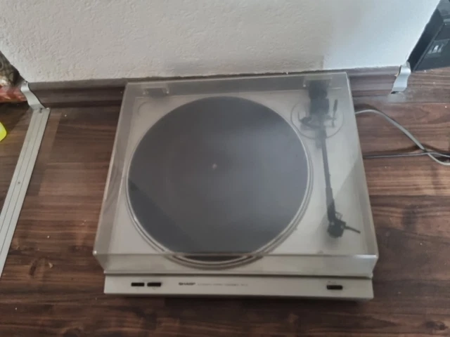 THAKKER RP-11 H Ersatzriemen – Kompatibel Mit Sharp Plattenspielern, Für Perfekten Antrieb