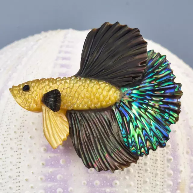 Siamese Fighting Fish Betta Carving Iridescent Multicolor Shell 4.26 g Drilled