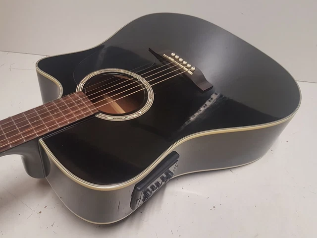 Takamine eg store 531 ssc