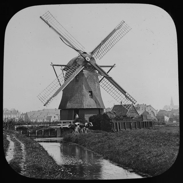WINDMILL AT HAARLEM HOLLAND C1890 ANTIQUE Magic Lantern Slide PHOTO NETHERLANDS
