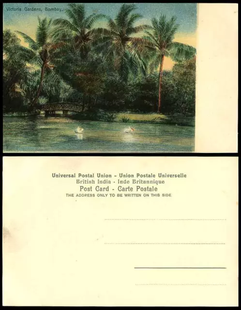 India Old Colour Postcard VICTORIA GARDENS BOMBAY Bridge Pelican Birds Palm Tree