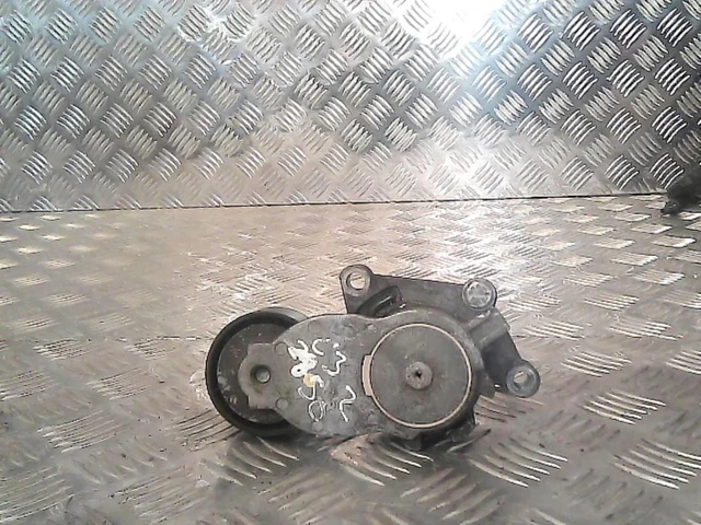 Galet tendeur CITROEN C3 2 PHASE 1 1.4 HDI - 8V TURBO /R:58494007