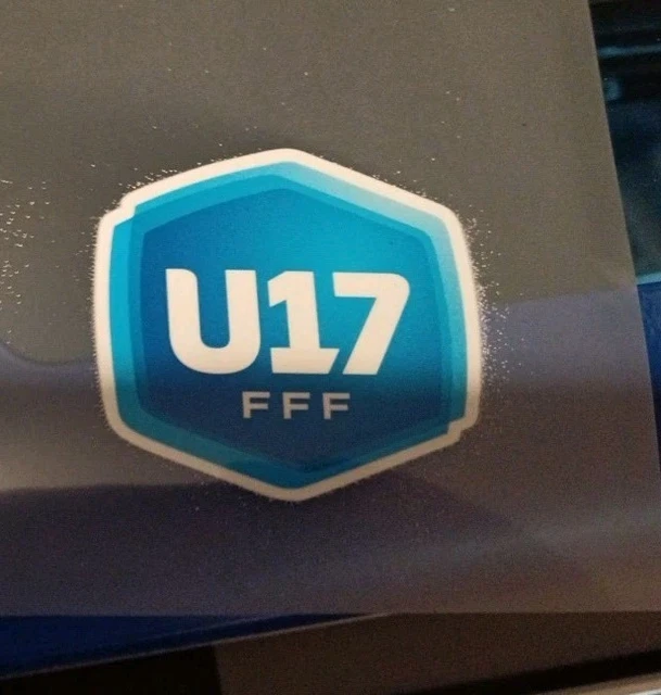 Patch Officiel FFF National 2 N2 - Thermocollant, Neuf Avec Étiquettes
