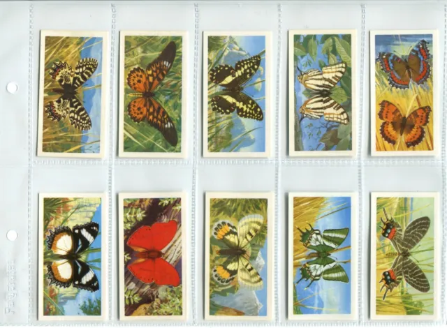 Butterflies of the World 1964 Brooke Bond Tea Cards Full Set of 50 Cards