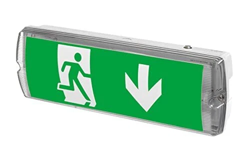 Éclairage de secours LED, IP65, pour sortie durgence