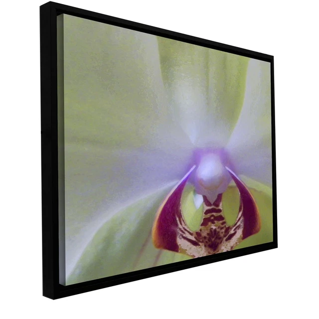 ArtWall Dean Uhlinger 'Impression of Orchid' Floater Framed  Small