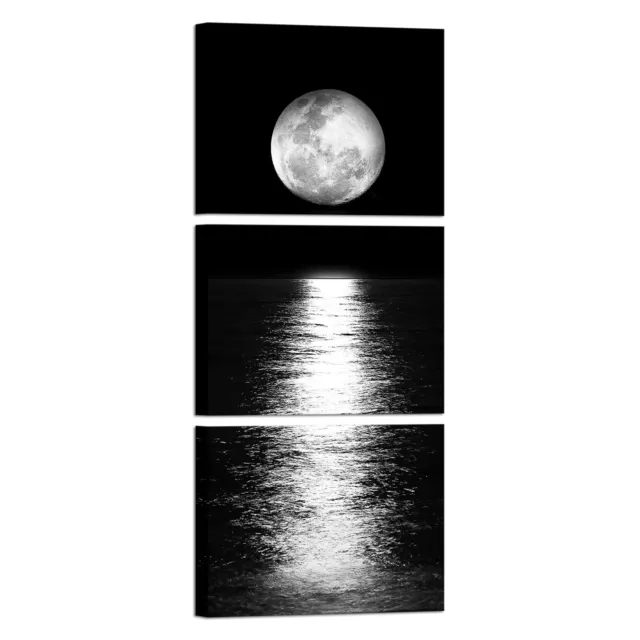 Full Moon Phase Canvas Wall Art Vertical Black and White Picture Moon on Sea ...