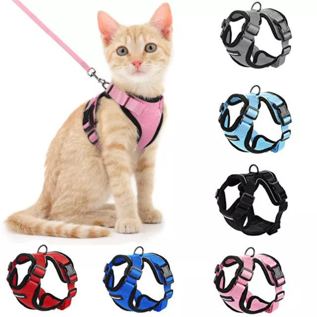 Cat Pet Harness Escape proof Small Dog Vest Adjustable and 59" Leash for Walking