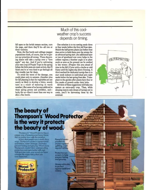 1988 Print Ad Thompson's Wood Protector Beauty is the way it protects the wood