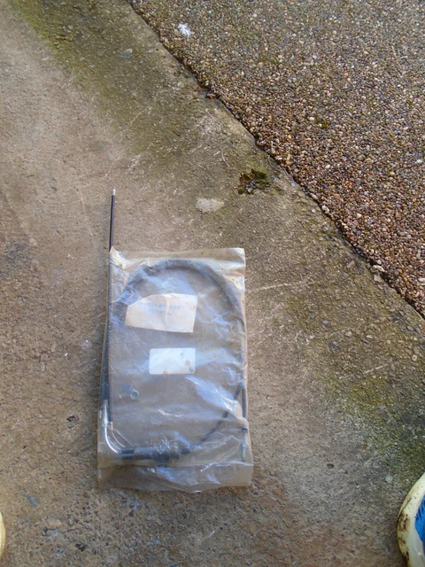 harley davidson sportster 1200 scrambler