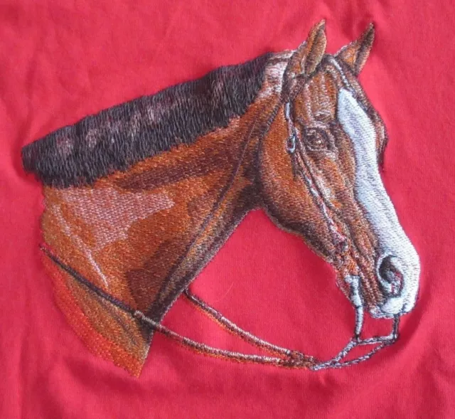 Embroidered Sweatshirt - Western Pleasure Horse BT2341 Sizes S - XXL