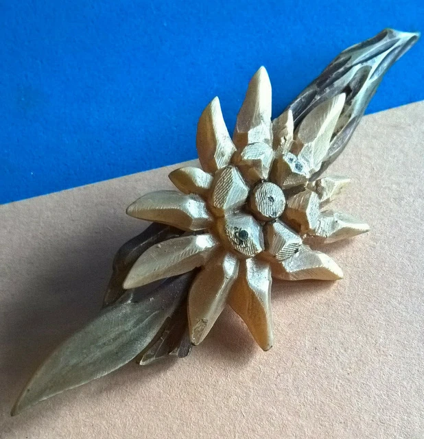 Broche Ancienne Art Nouveau Fine en Corne Bovine