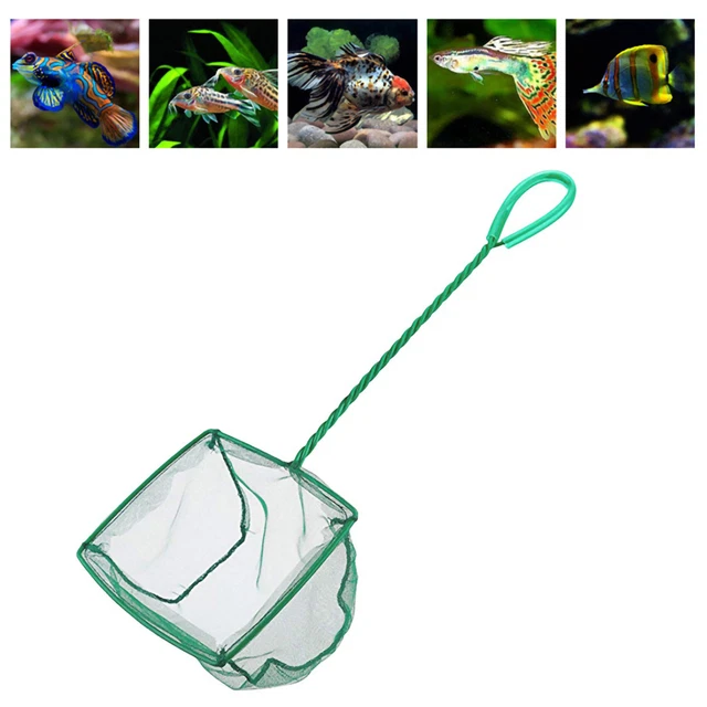 Fish Catch Net Multiple Sizes Strong Bearing Fine Mesh Aquarium Net 4-inch