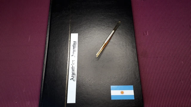BRIEFMARKEN  "ARGENTINIEN", klein Sammlung auf 15 Albumseiten, TIP