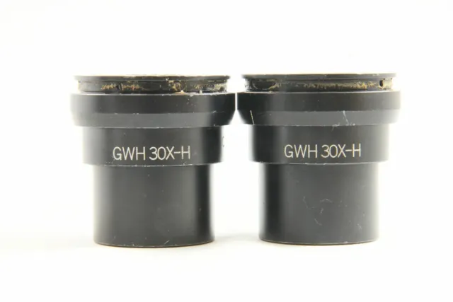 Pair of Olympus GWH 30X-H Microscope Eyepieces from Japan #3527