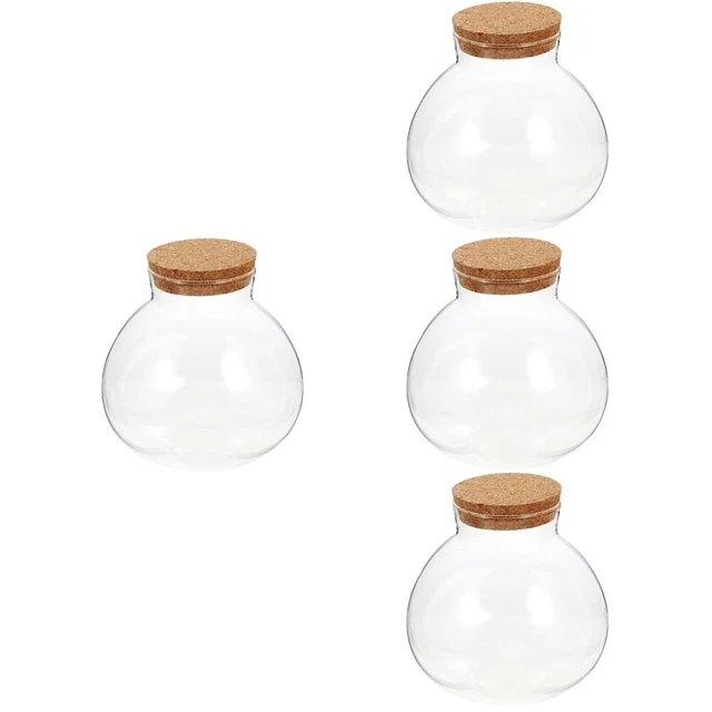 4 Count Bidon De Conservation Des Aliments Récipient Vase Hydroponique