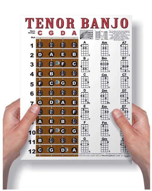 LAMINATED TENOR BANJO Chord Chart Poster Easy Chords Beginner 8.5x11 ...