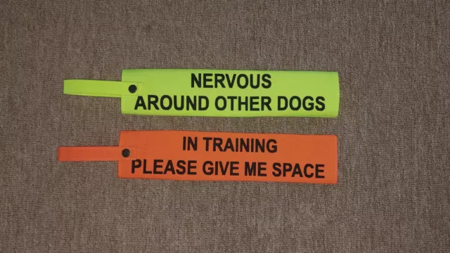 Personalised Hi Vis Fluorescent Warning Lead sleeve Slip On Leash Slip Lead Dog