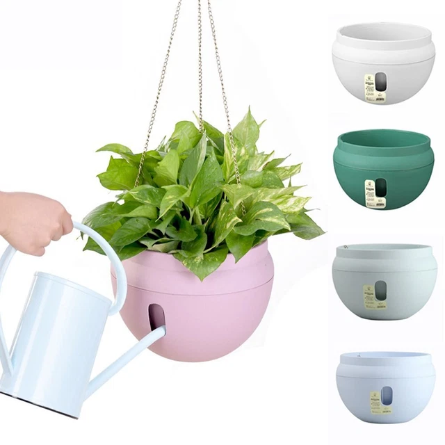 Chaîne Mur monté Plante Panier Planteur suspendu Pot de fleur Boîte succulente