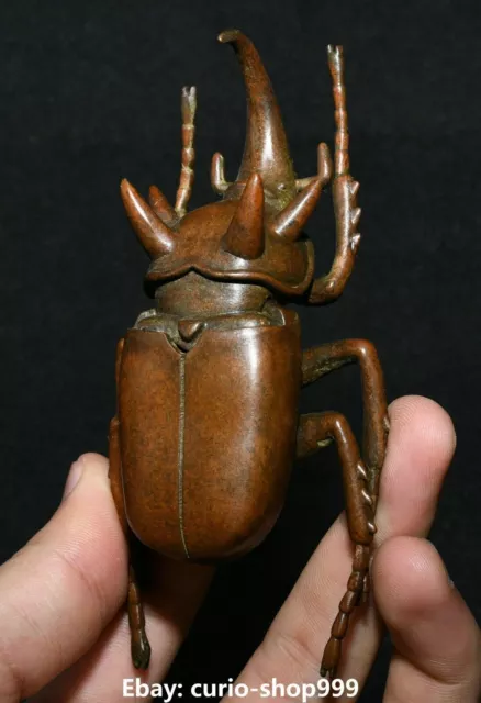 11cm Antique Chinese Bronze Fengshui Folk Beetle Insect Entomo Animal Statue 3