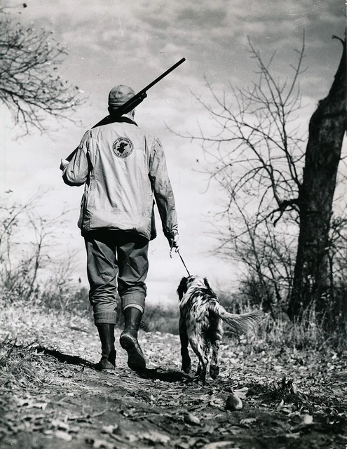 CHASSE c. 1950 - Chasseur Chien Fusil USA - GF 389