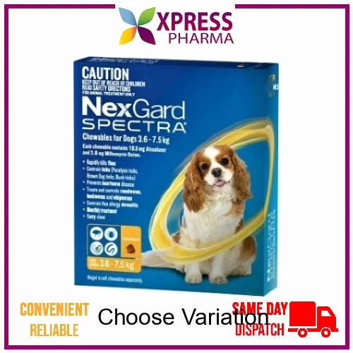 NEXGARD SPECTRA ALLWORMER Chewables for Dogs 3.6 7.5kg Wormer NEW