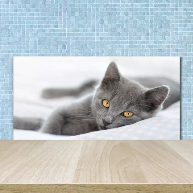 Küchenrückwand Spritzschutz aus Glas 100x50 Deko Tiere Graue Katze