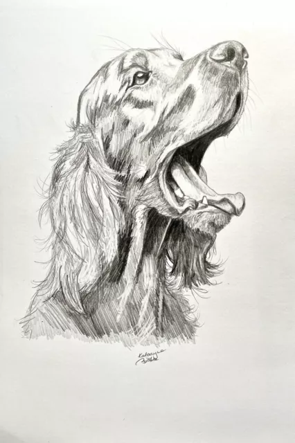 COA Original Dibujo Arte Lápiz boceto perro rojo setter irlandés retrato...