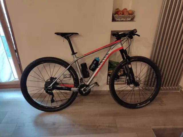 mtb 29 carbonio usata