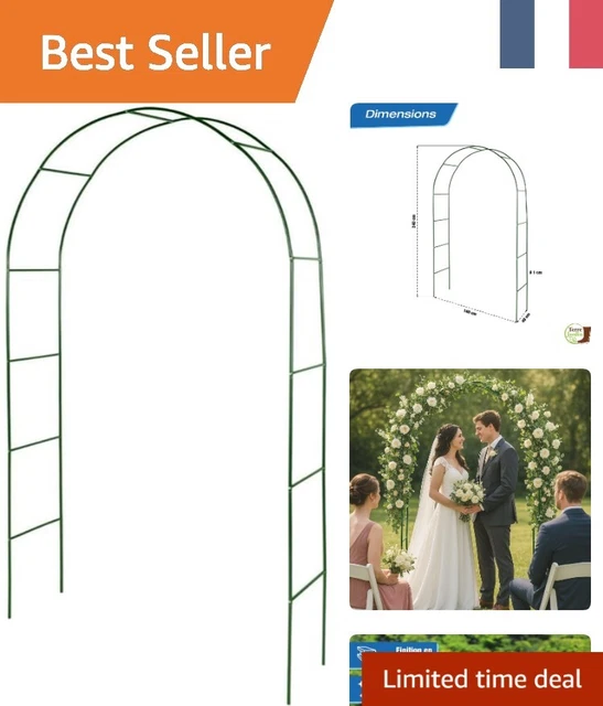 Arches De Jardin VidaXL - Lot De 2 En Fer Vert, 190cm H, Pour Plantes Grimpantes Et Rosiers