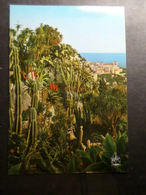 Cpsm Carte Postale 06 Monaco, Le Jardin Exotique, Cactus, Plantes, Vf Pc