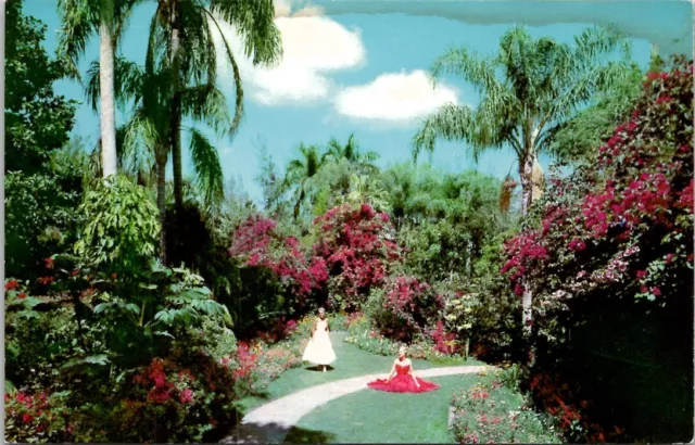 Majestic Palm & Gorgeously Colored Flowers Sunken Gardens Postcard Spc10