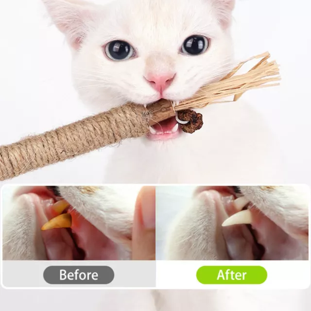 Catnip Cat Toys Chewing Sticks for Cat Natural Silvervine Pet Teeth Cleaning Toy