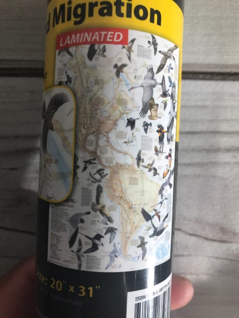 National Geographic Map Bird Migration Western Hemisphere - Laminated 20” X 31”