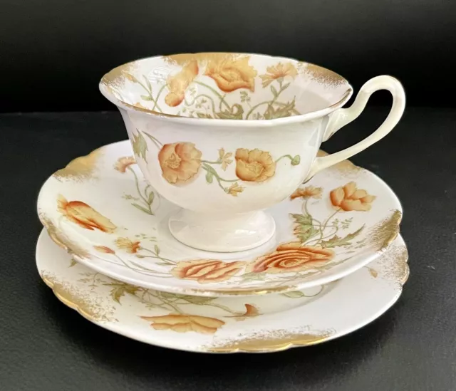 Antique Wileman & Co Foley Pre-Shelley Tea Trio, England, Bone China, 1890s