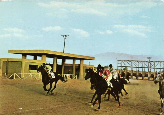 PC CPA SAUDI ARABIA, RIYADH, HORSE RACING, Modern Postcard (b15926) $16