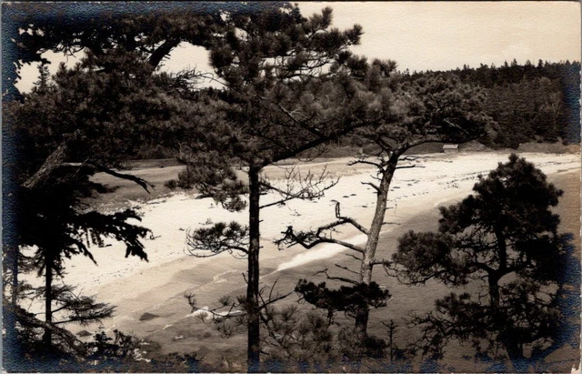 The Sand Beach, BAR HARBOR, Maine Real Photo Postcard - Bee's