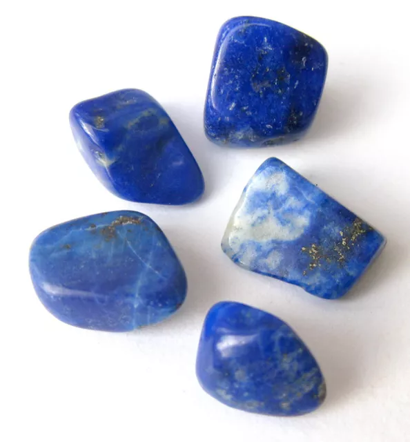 5 pc Lapis Pyrite Tumbled Polished Healing Crystal Gemstone Stone LOT Chakra