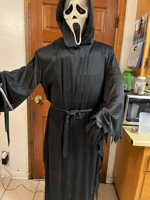 Spirit Halloween 2011 Exclusive Gemmy  Animatronic Ghost Face Scream Life Size
