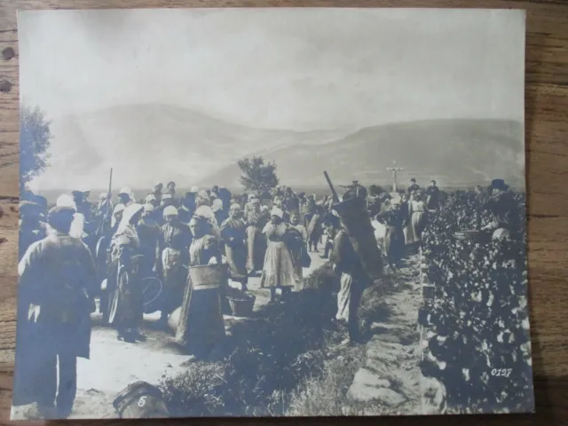 Großes Foto Ukraine um 1917 - Menschen - Bauern - Ernte - Wein - ca. 30x24 cm