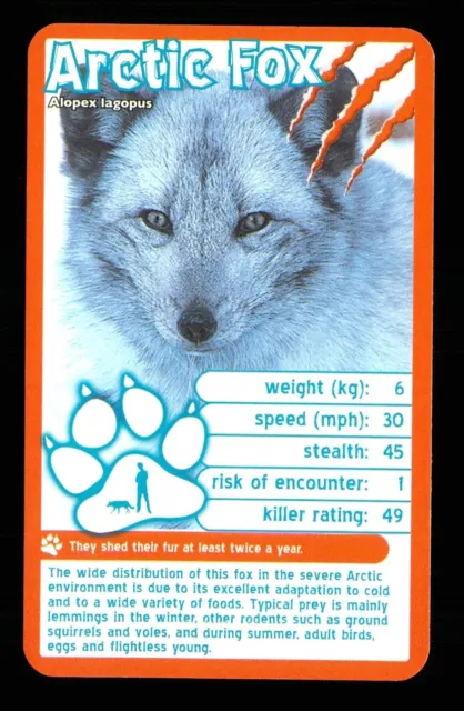 1 x info card deadliest predator Arctic Fox - R114