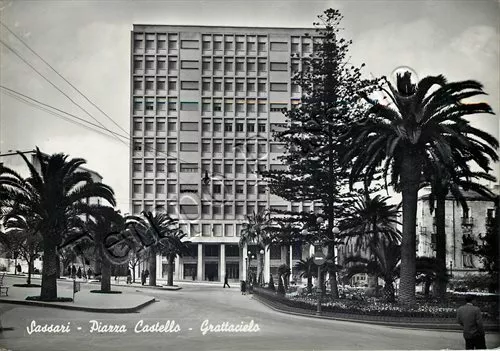Cartolina di Sassari, palme e grattacielo - 1953
