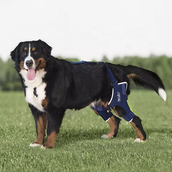Balto Dog Knee Brace: True Support- ALUMINIUM SUPPORT INSERTS (ACL) BT-JUMP DUAL