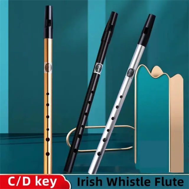 Flauto fischietto irlandese artigianale chiave di C/D strumento fischietto resis