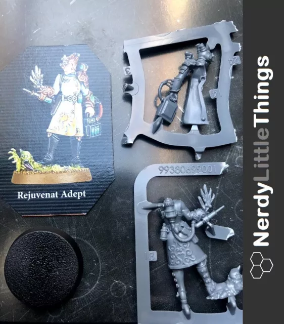 Warhammer 40k - Kill Team Rogue Trader - Starstriders - Sanistasia Minst